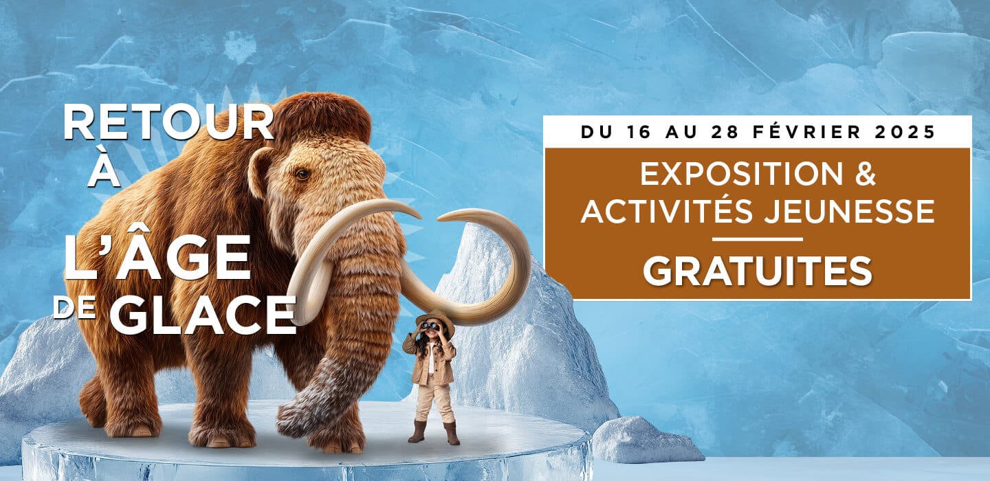 Blandonnet HomePage 1440 x 700px 4 1