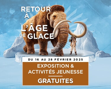 Blandonnet HomePage 375 x 300px 1