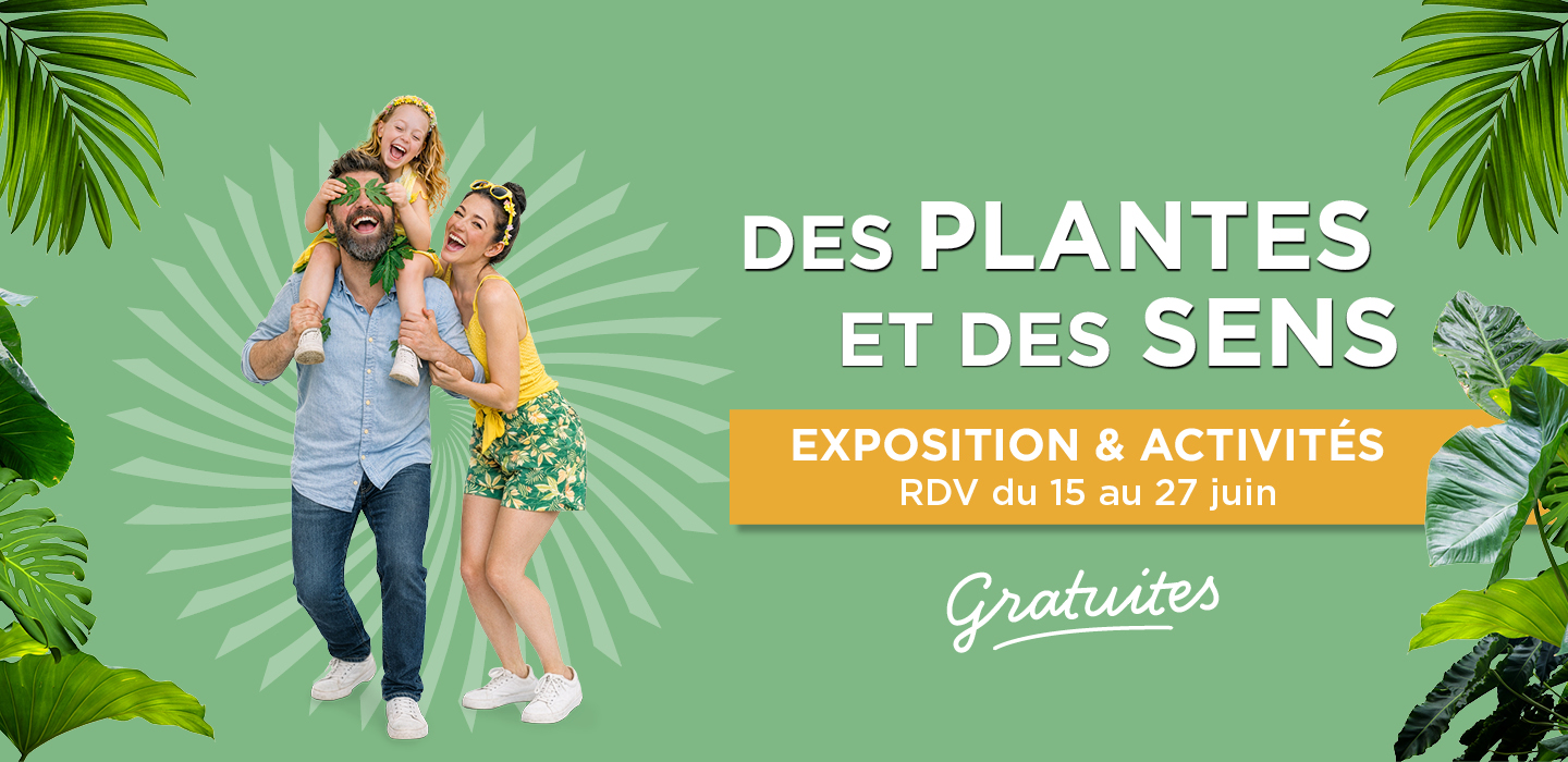 Blandonnet HomePage 1440 x 700px 1
