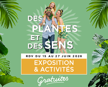 Blandonnet HomePage 375 x 300px 1